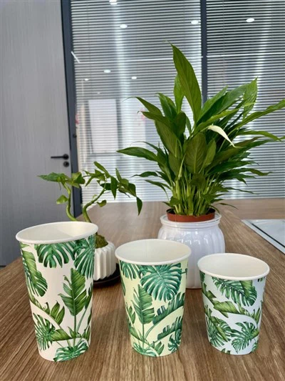 Kaanetega kohvitassid